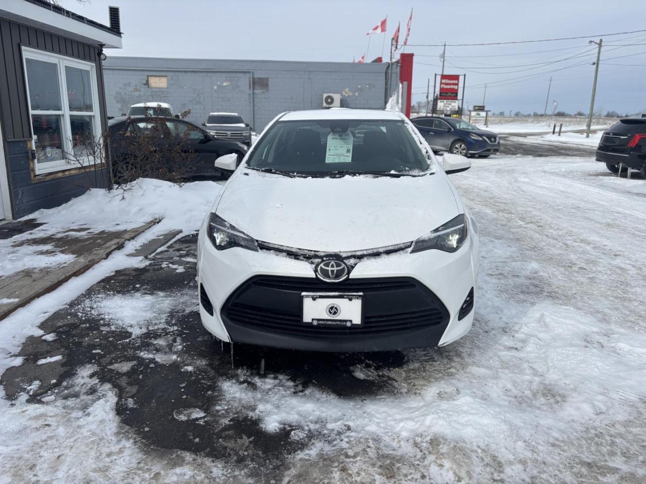2018 Toyota Corolla  Photo