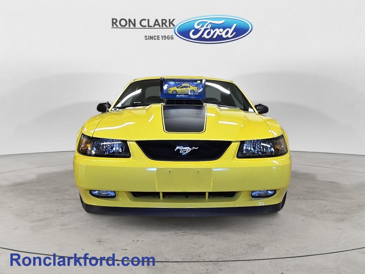 2003 Ford Mustang Mach 1 2dr Coupe Photo