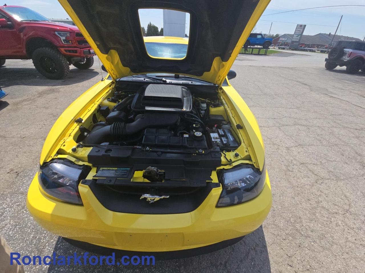 2003 Ford Mustang Mach 1 2dr Coupe Photo