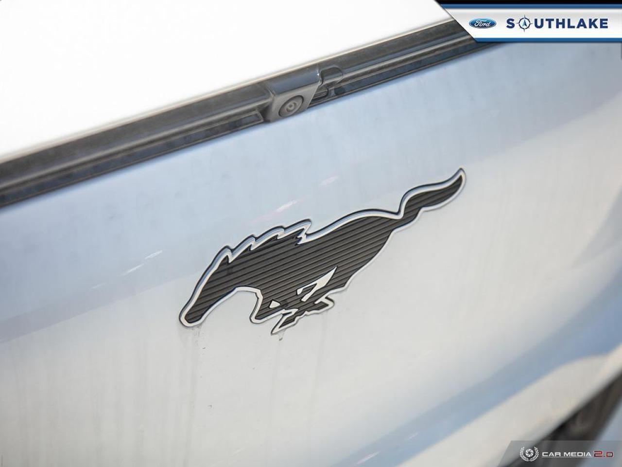 2025 Ford Mustang Mach-E Premium 4dr All-Wheel Drive Photo