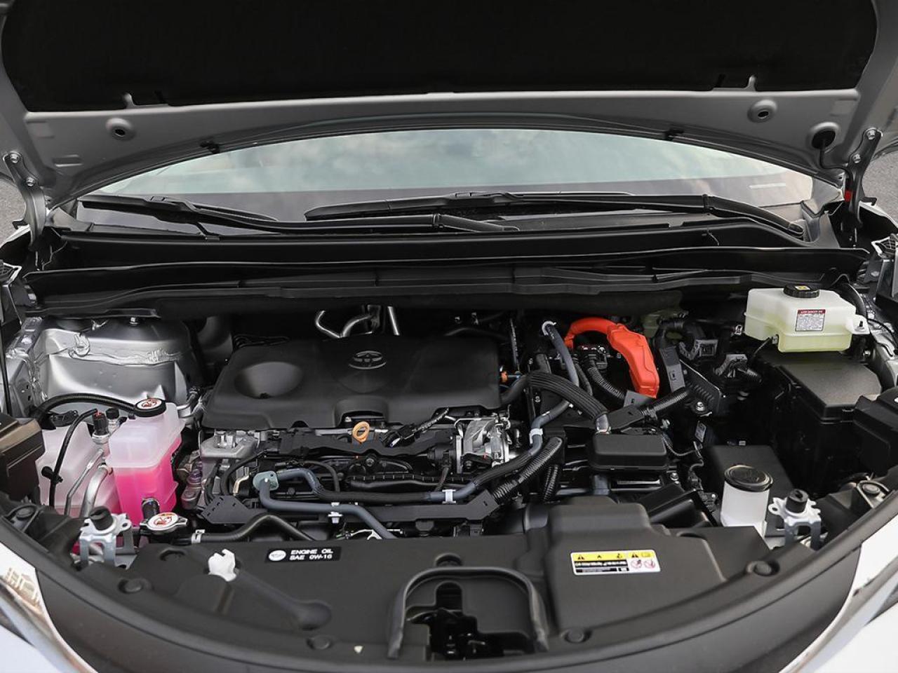 2025 Toyota Sienna LE 8-Passenger 4dr All-Wheel Drive Passenger Van Photo