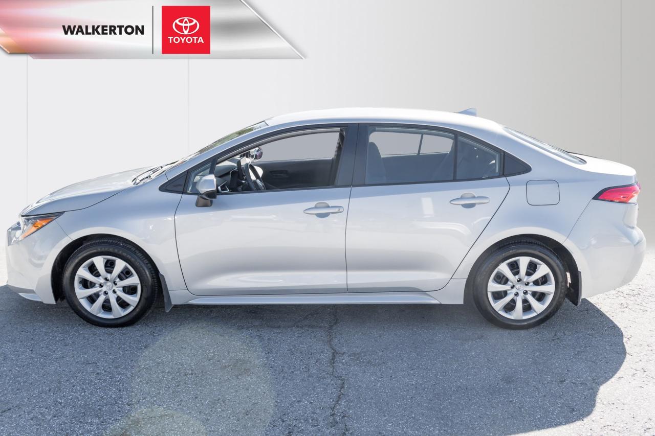 2024 Toyota Corolla LE 4DR SEDAN Photo