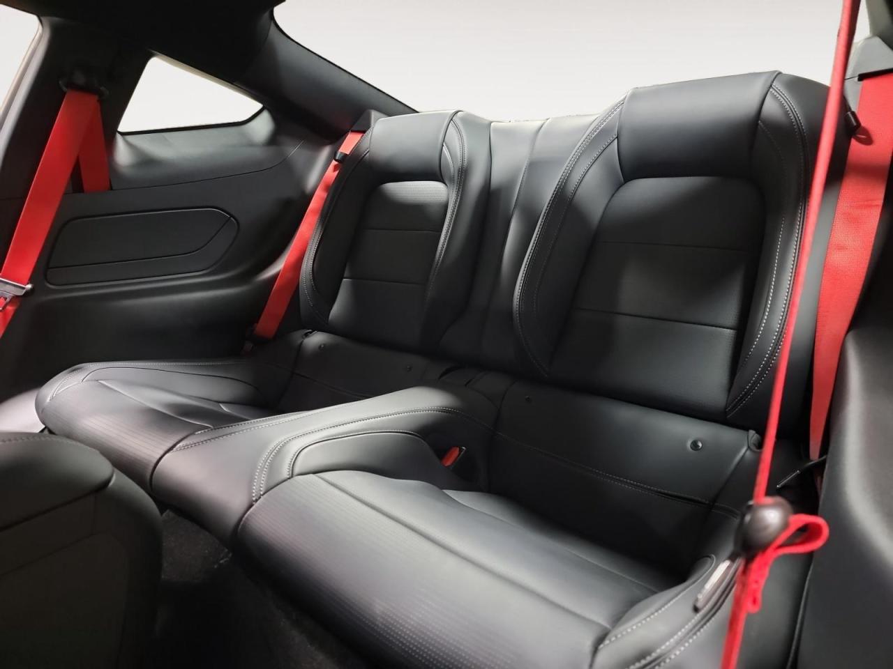 2025 Ford Mustang GT Premium 2dr Fastback Photo