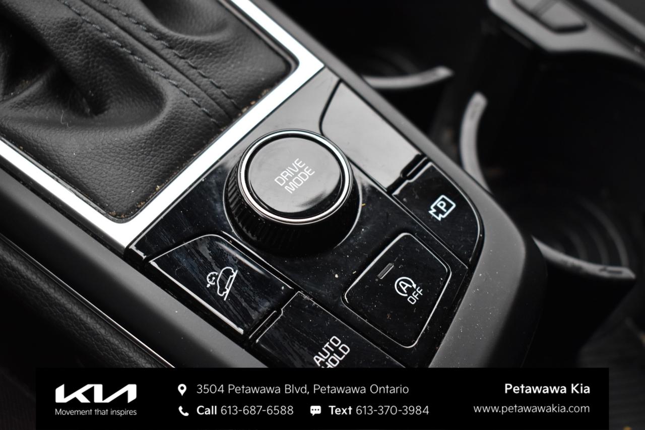 2024 Kia Sportage LX 4dr Front-wheel Drive Photo