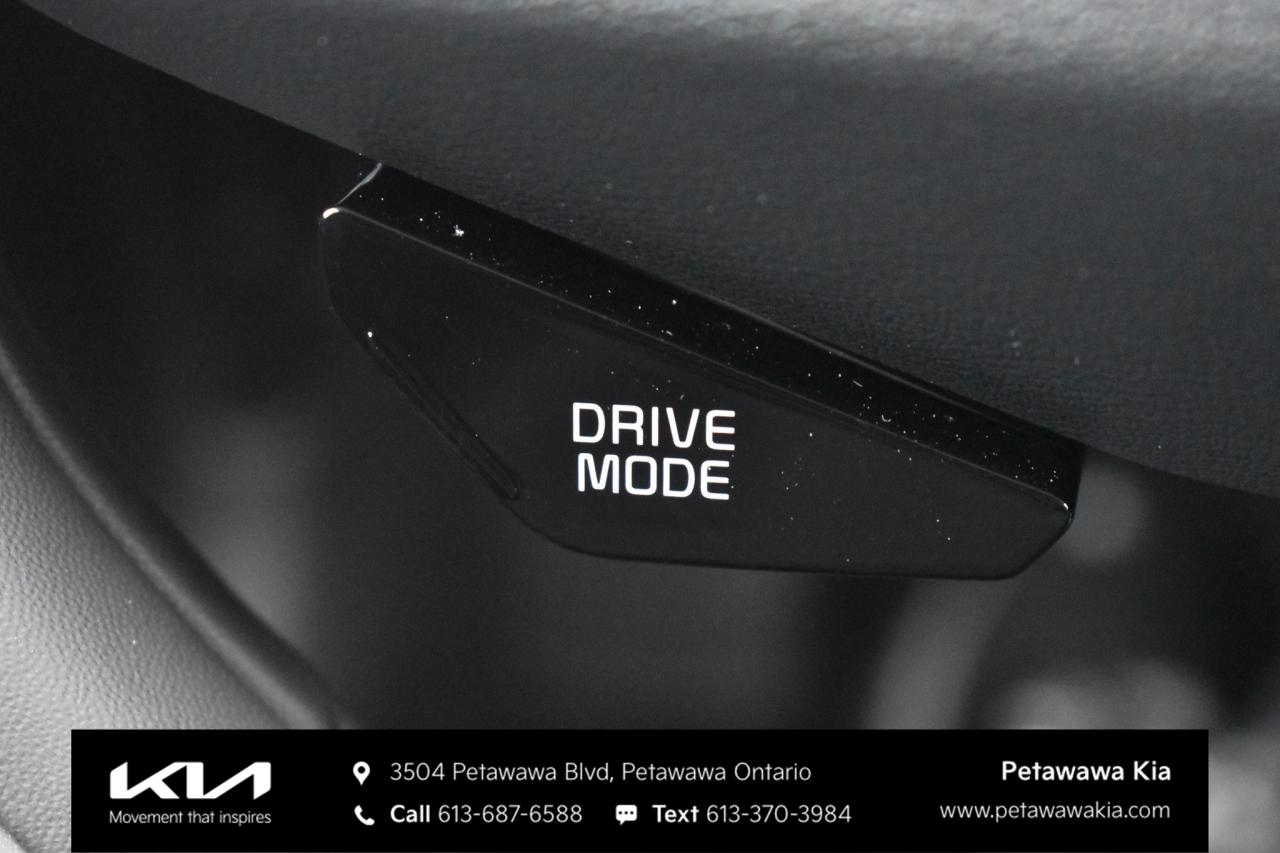 2026 Kia NIRO EX Premium 4dr Front-Wheel Drive Sport Utility Photo