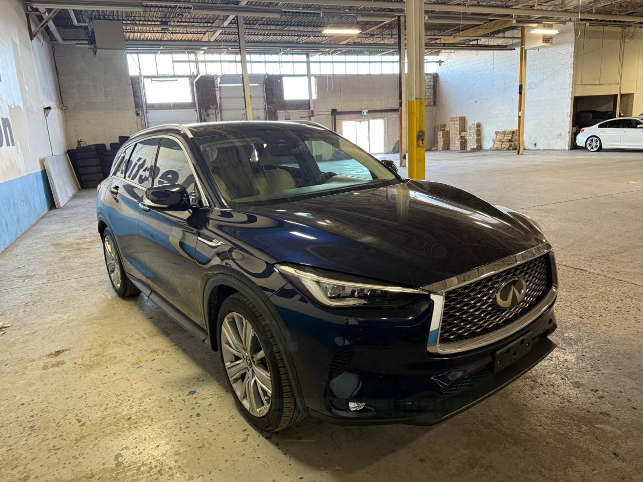2020 Infiniti QX50 PURE 4dr All-Wheel Drive Photo