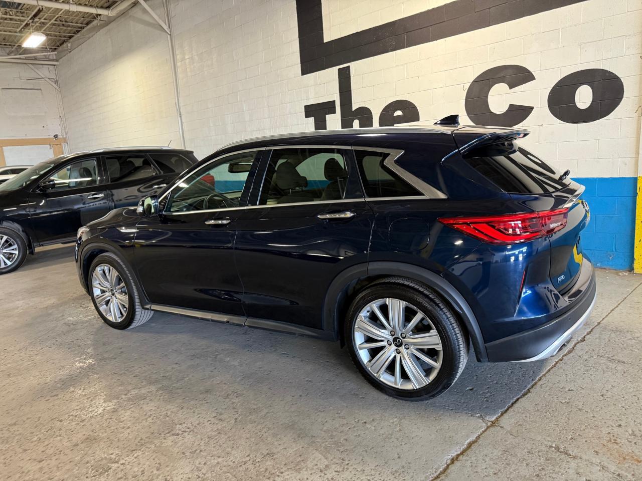 2020 Infiniti QX50 PURE 4dr All-Wheel Drive Photo