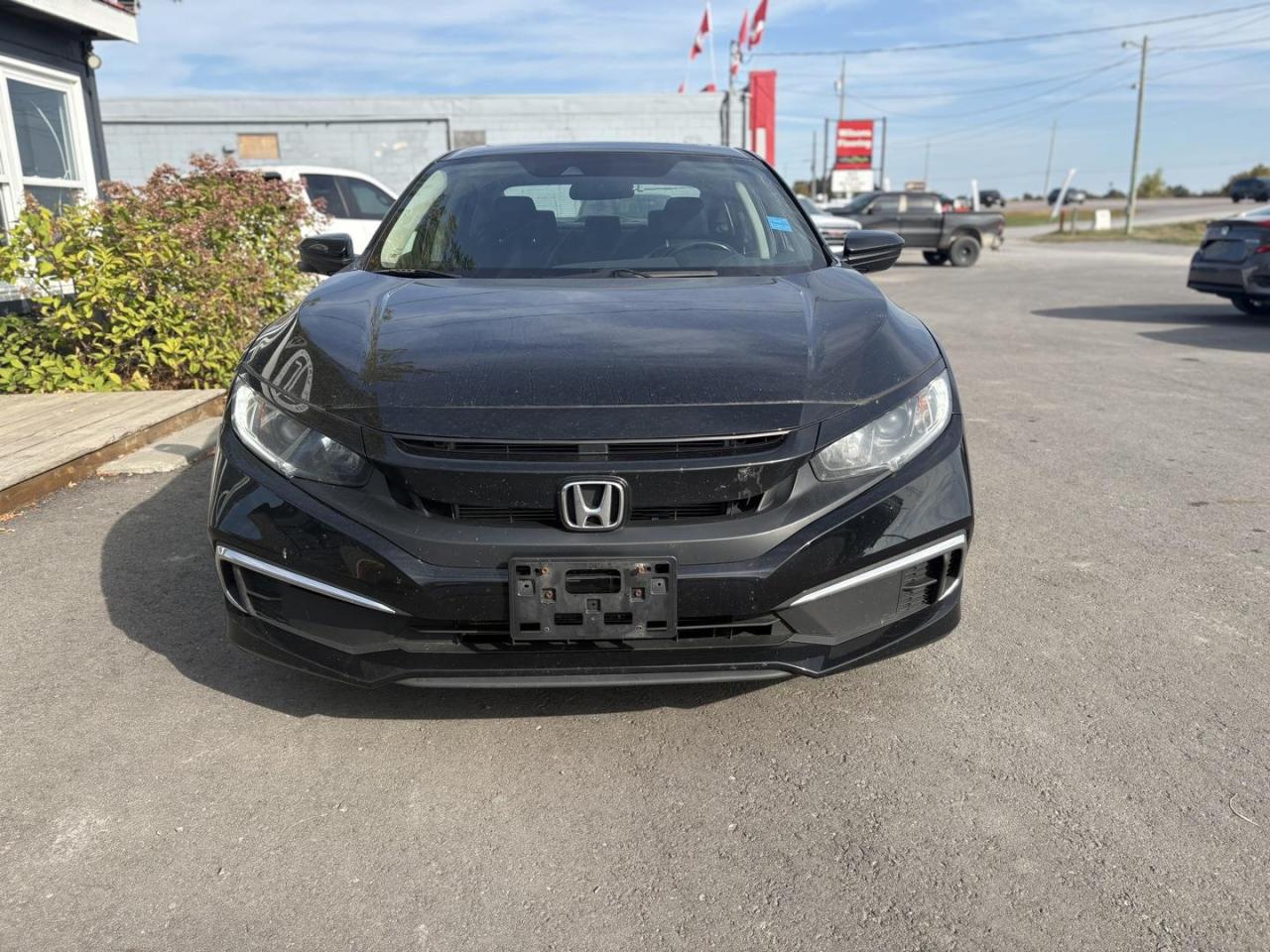 2020 Honda Civic  Photo