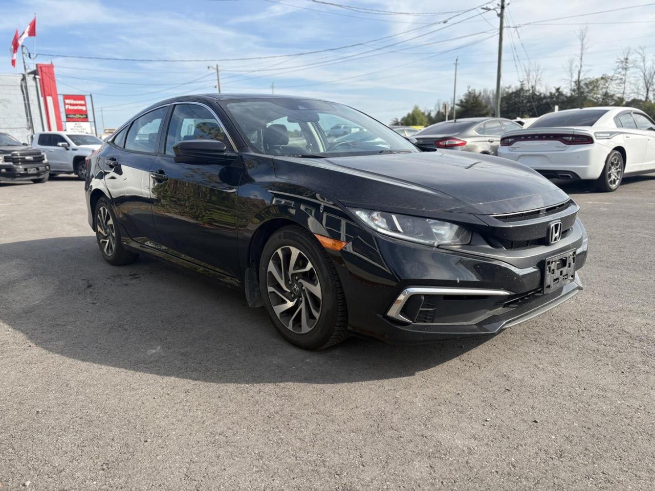 2020 Honda Civic  Photo