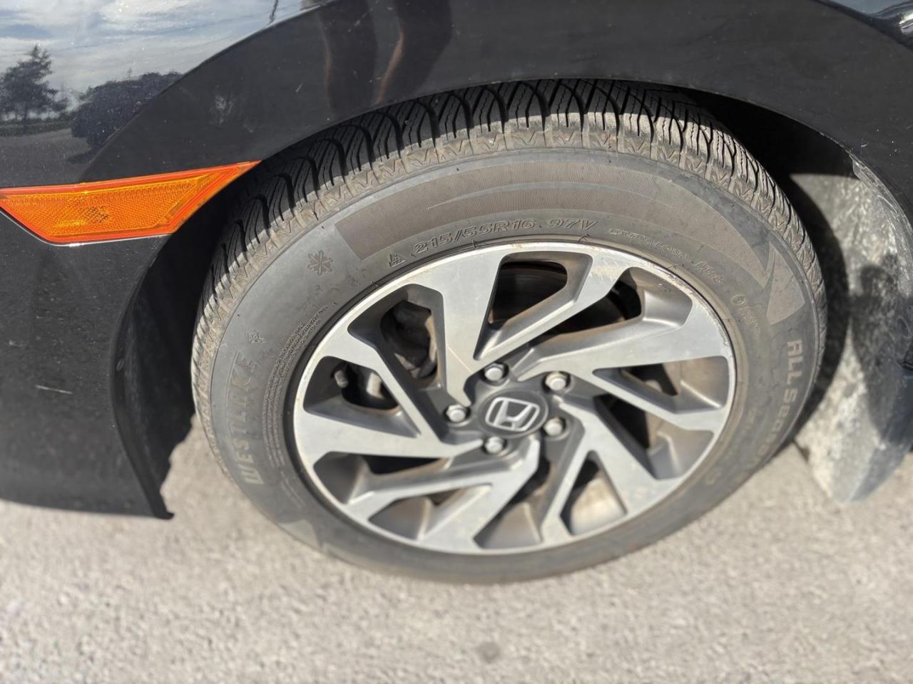 2020 Honda Civic  Photo