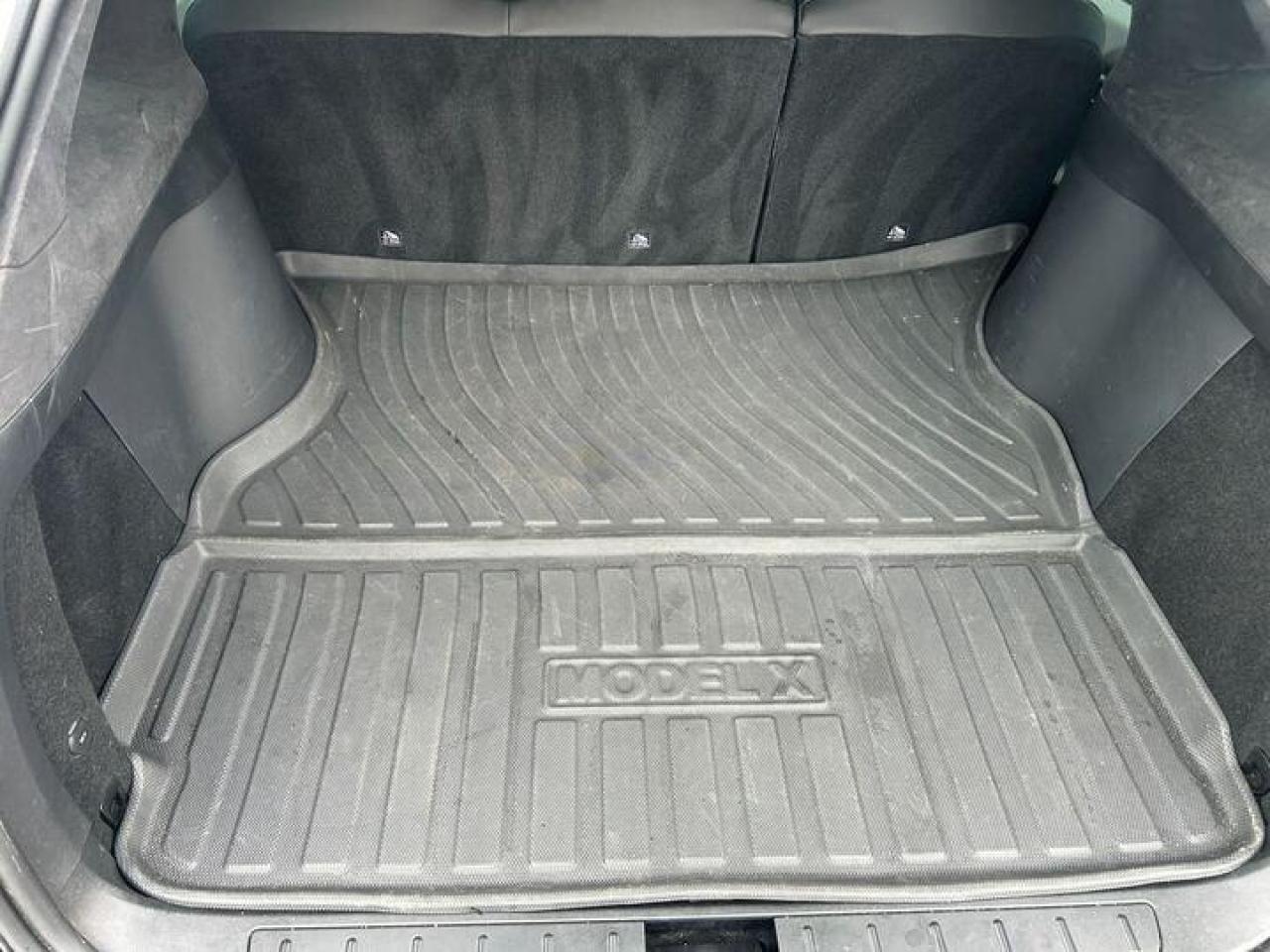 2019 Tesla Model X  Photo