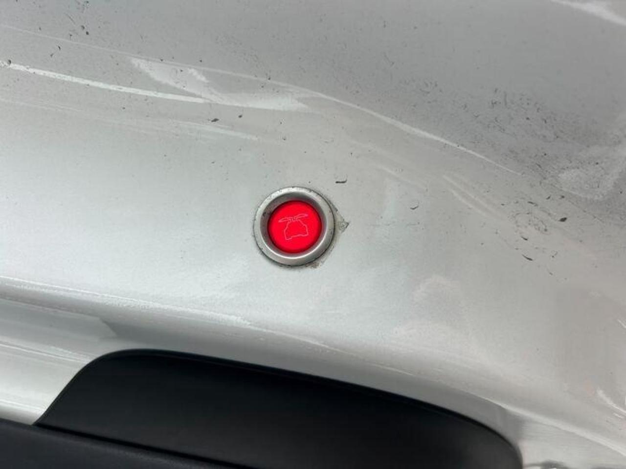 2019 Tesla Model X  Photo