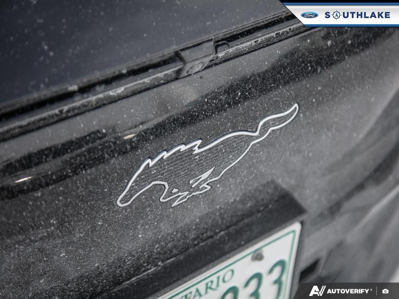 2025 Ford Mustang Mach-E Premium 4dr All-Wheel Drive Photo