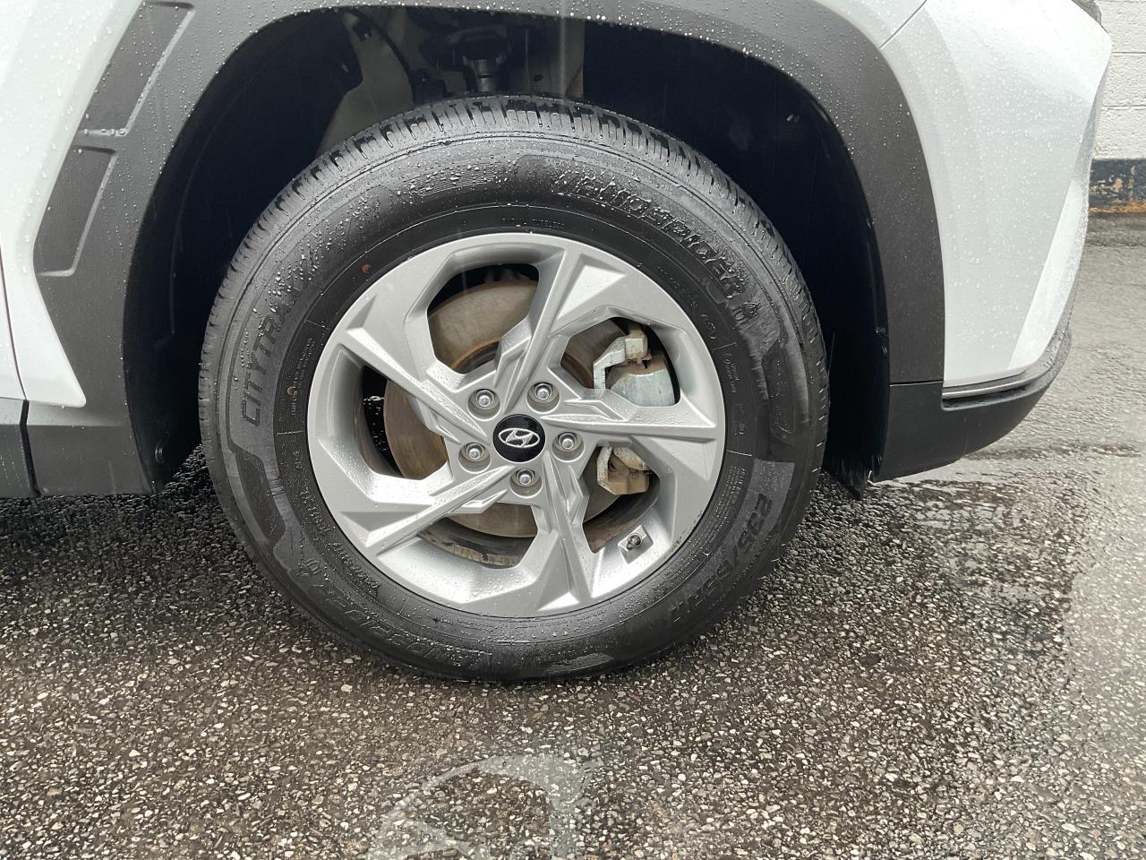 2024 Hyundai Tucson  Photo