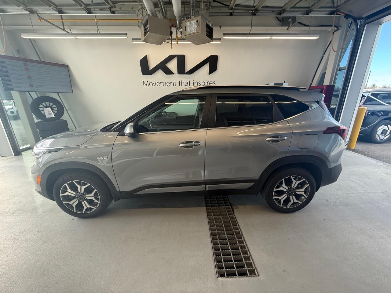 2023 Kia Seltos EX Premium 4dr All-Wheel Drive Photo