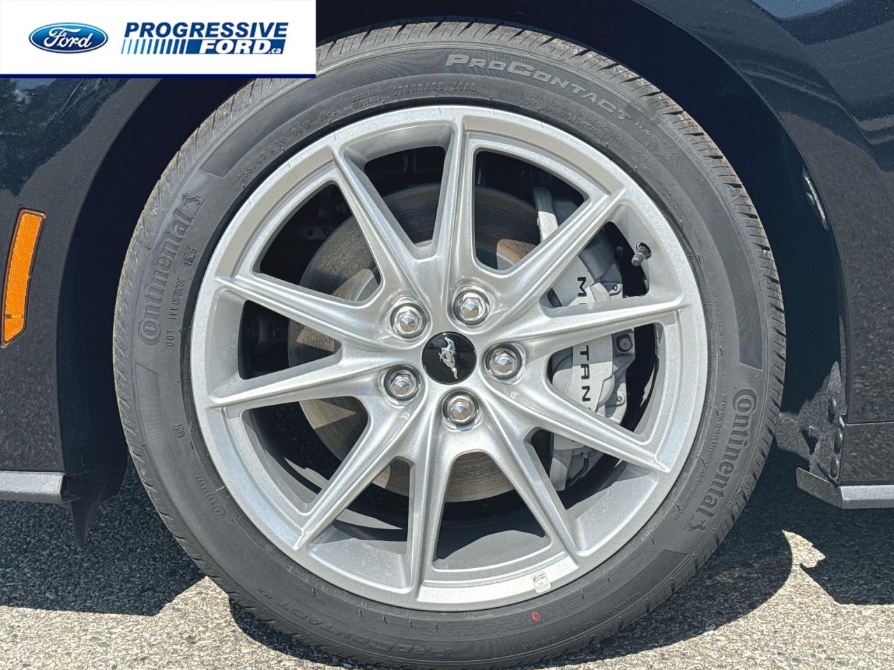 2025 Ford Mustang GT Premium 2dr Convertible Photo