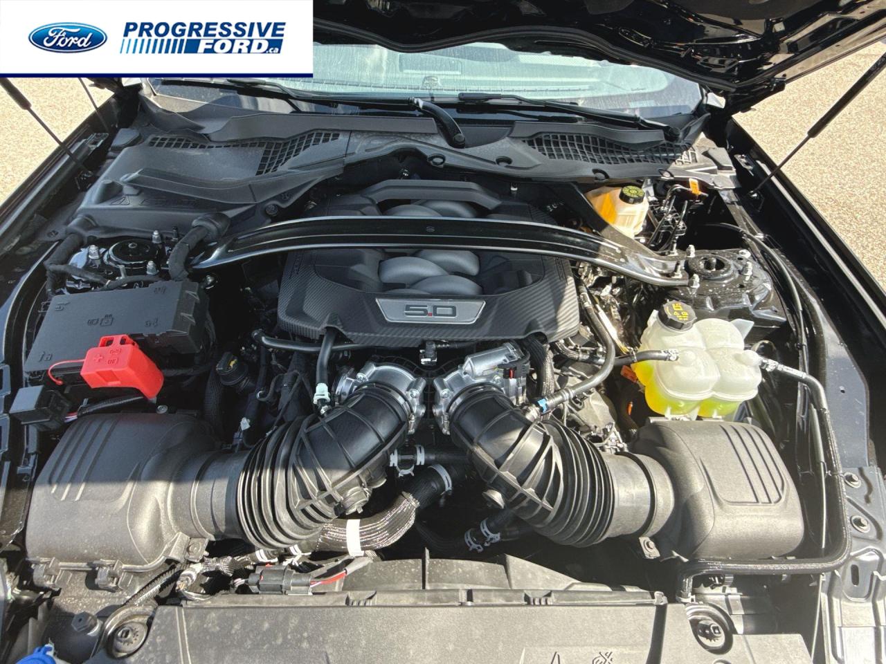 2025 Ford Mustang GT Premium 2dr Convertible Photo