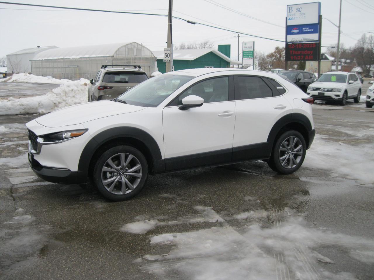 2025 Mazda CX-30 GS 4dr i-ACTIV All-Wheel Drive Sport Utility Photo