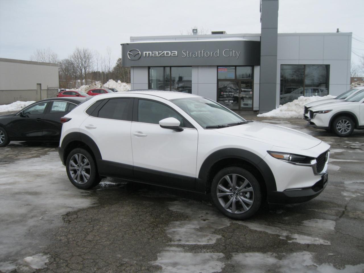 2025 Mazda CX-30 GS 4dr i-ACTIV All-Wheel Drive Sport Utility Photo0