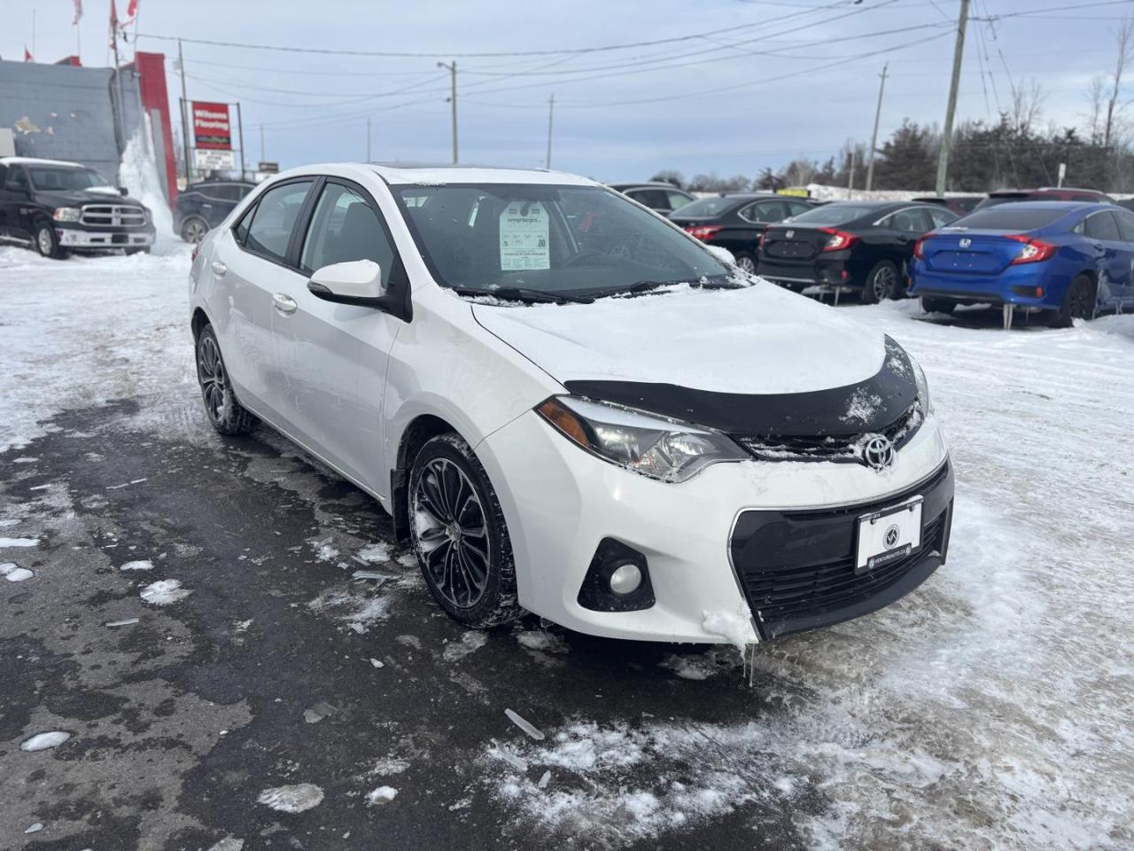 2014 Toyota Corolla  Photo