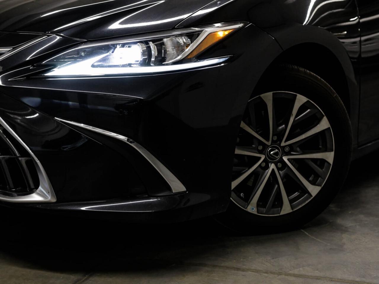 2023 Lexus ES  Photo