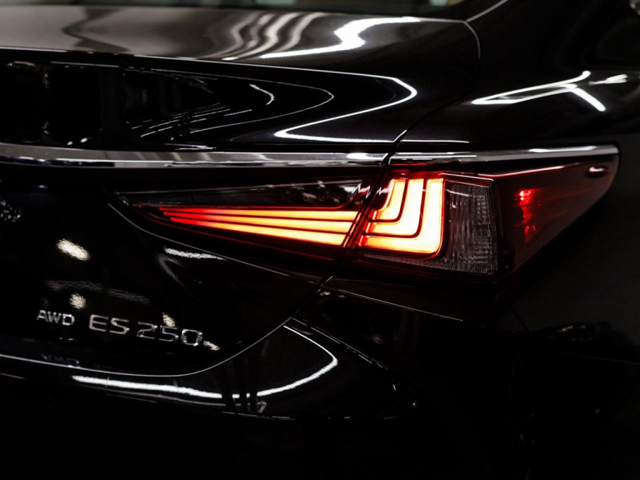 2023 Lexus ES  Photo