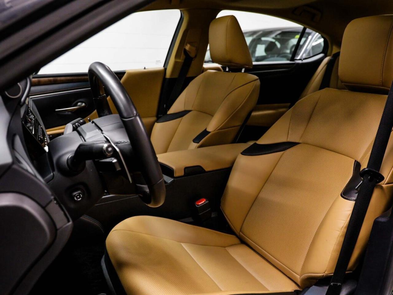 2023 Lexus ES  Photo