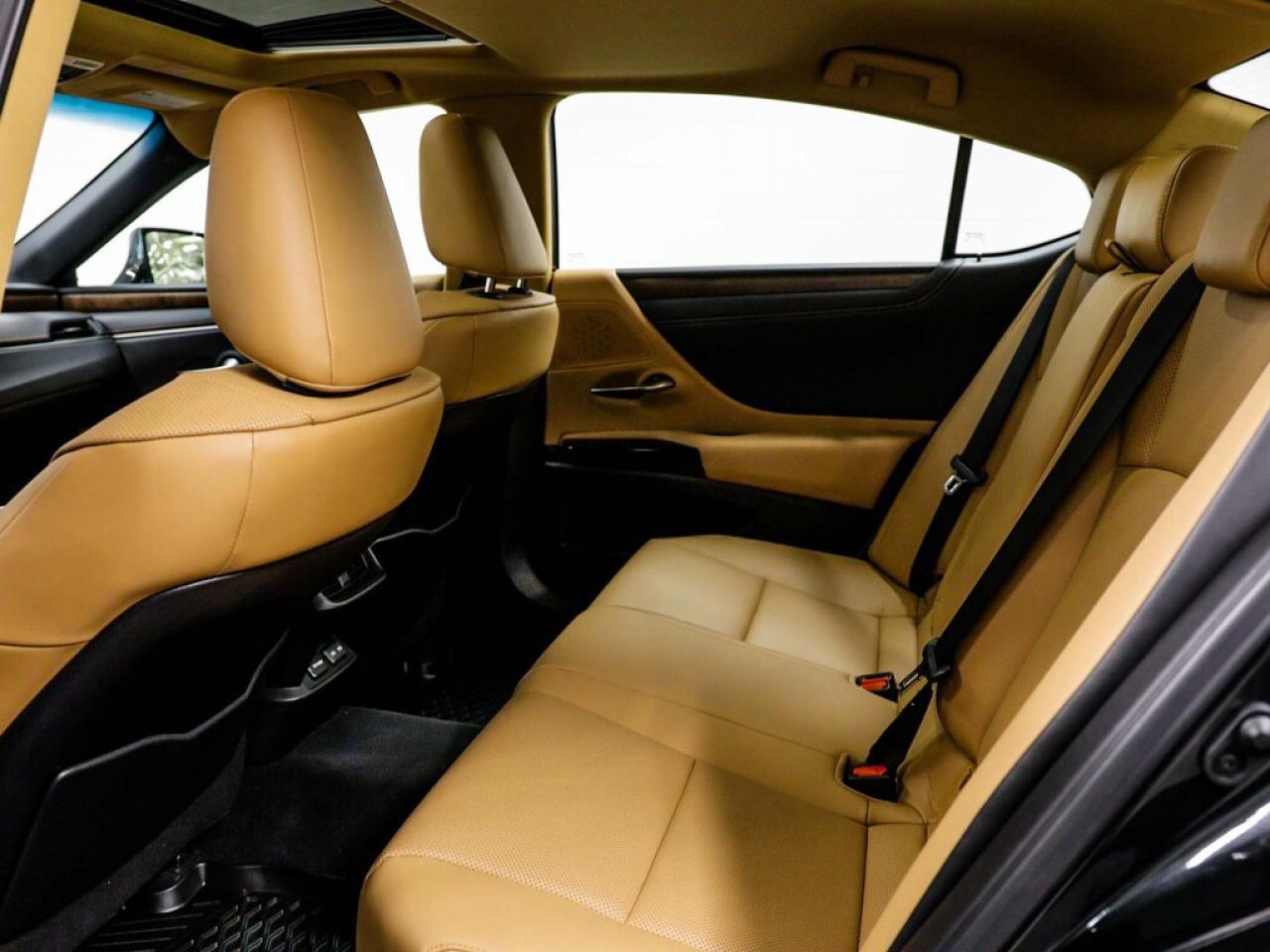 2023 Lexus ES  Photo