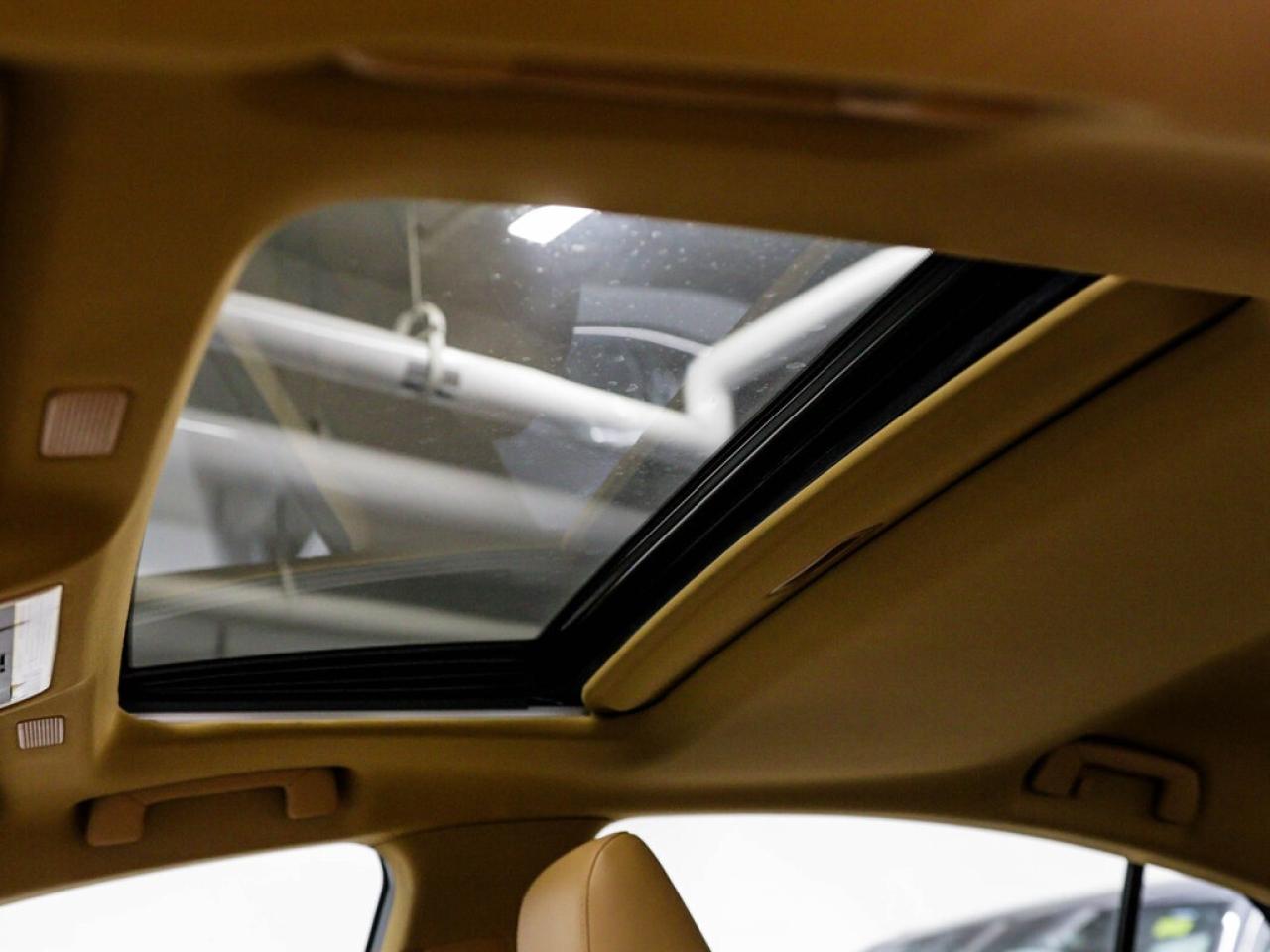 2023 Lexus ES  Photo