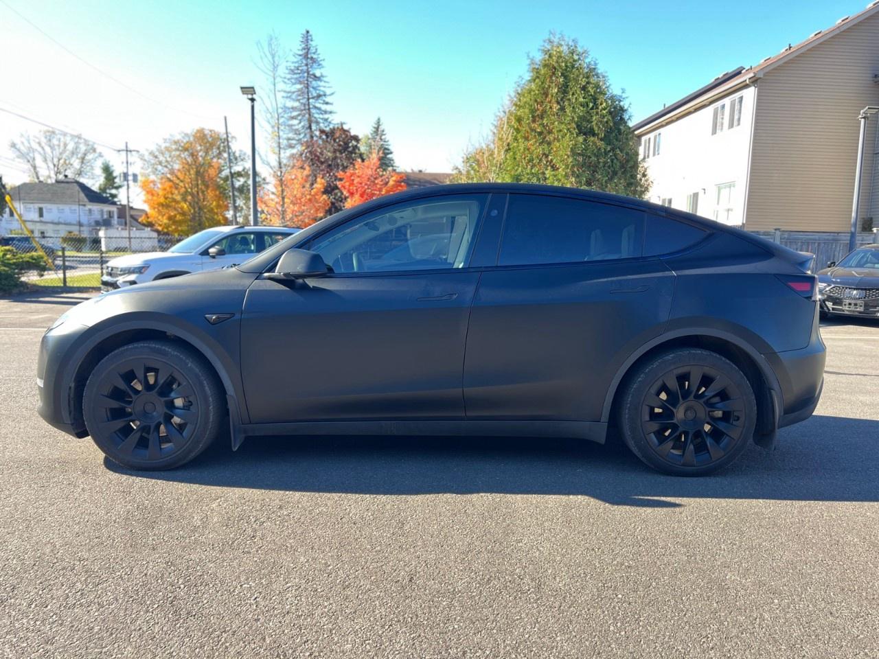 2024 Tesla Model Y Long Range AWD Photo