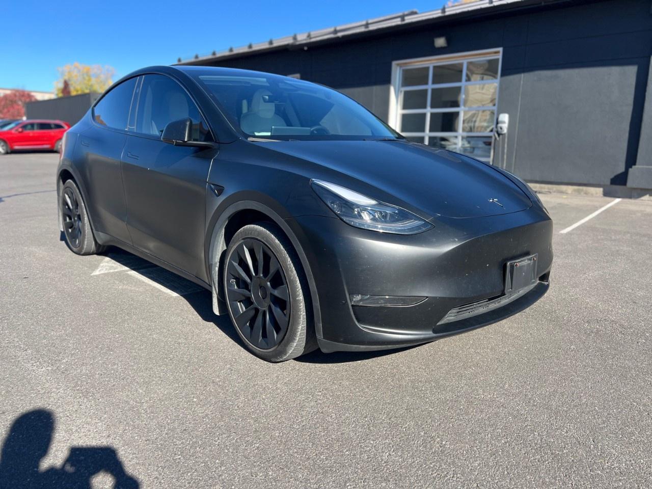 2024 Tesla Model Y Long Range AWD Photo
