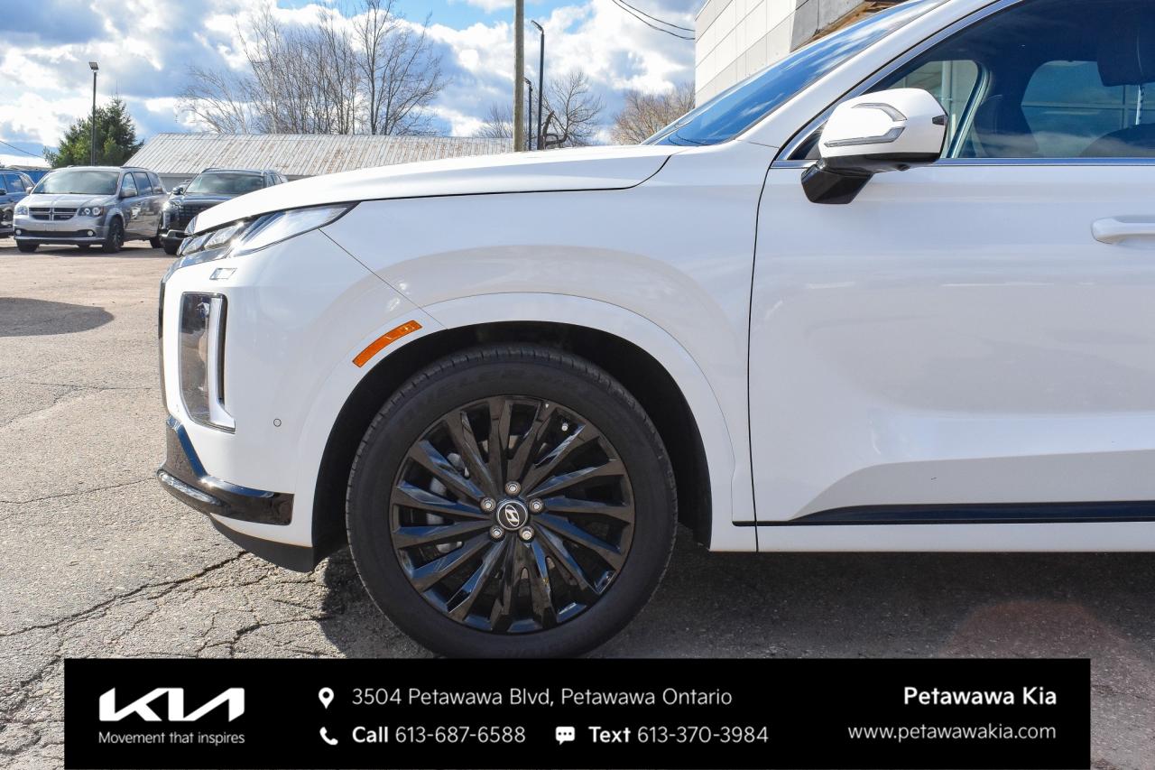 2025 Hyundai PALISADE Ultimate Calligraphy Night 4dr All-Wheel Drive Photo