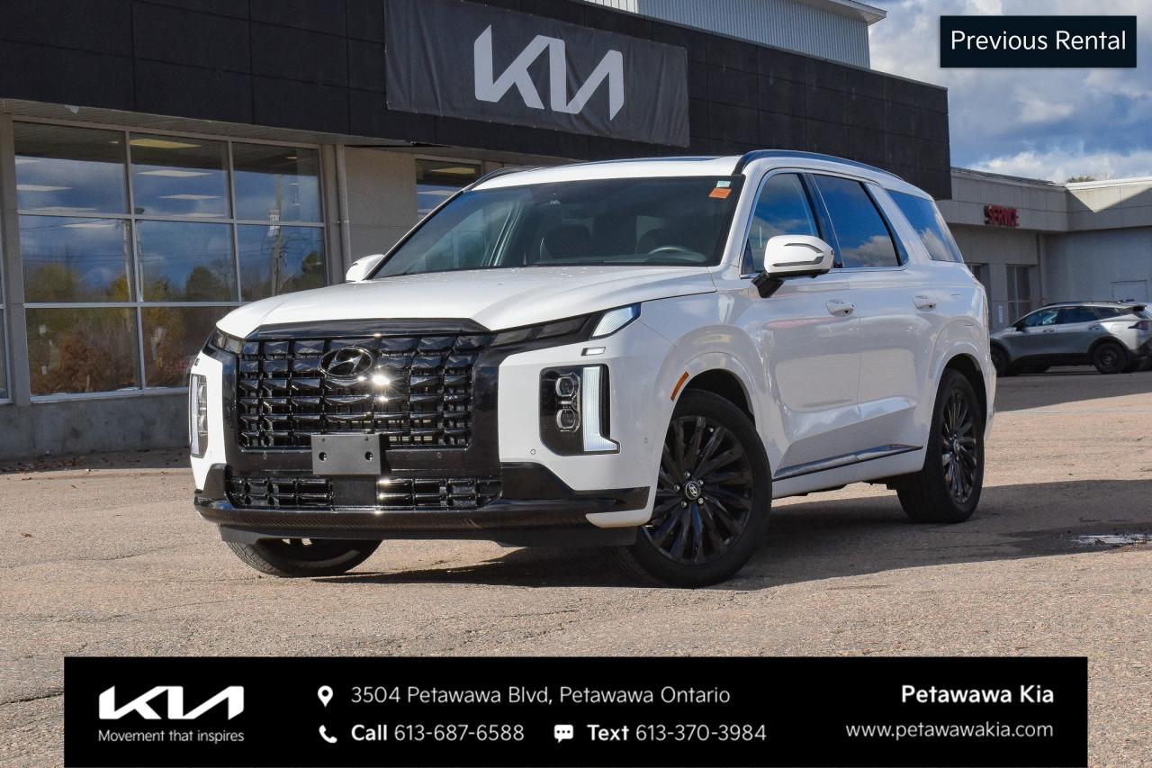 2025 Hyundai PALISADE Ultimate Calligraphy Night 4dr All-Wheel Drive Photo0