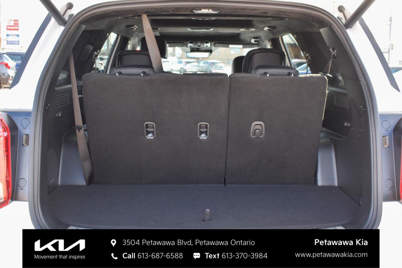 2025 Hyundai PALISADE Ultimate Calligraphy Night 4dr All-Wheel Drive Photo