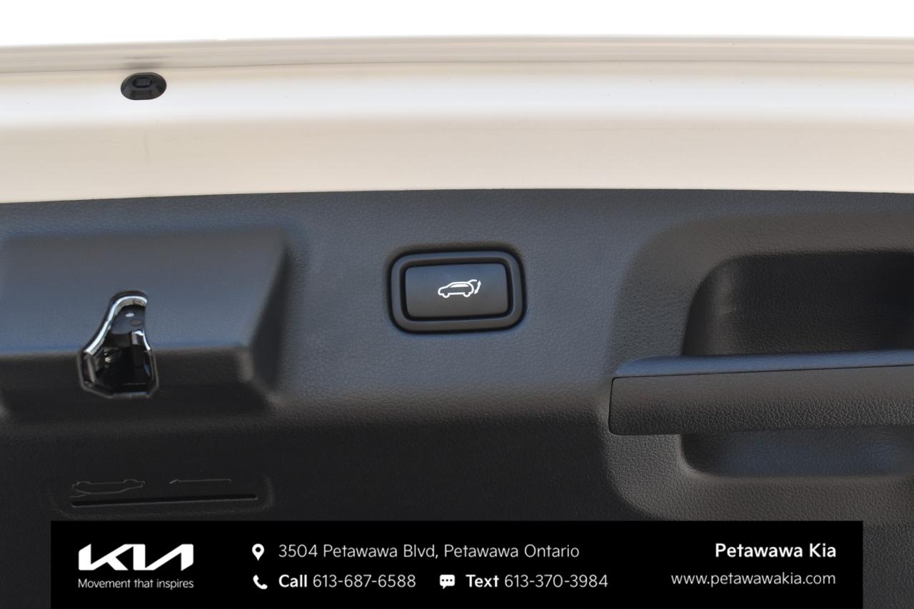 2025 Hyundai PALISADE Ultimate Calligraphy Night 4dr All-Wheel Drive Photo