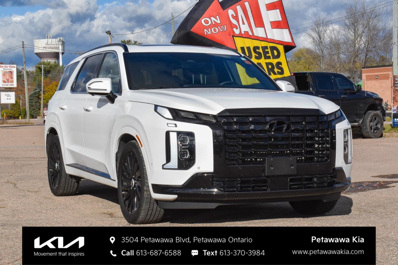 2025 Hyundai PALISADE Ultimate Calligraphy Night 4dr All-Wheel Drive Photo