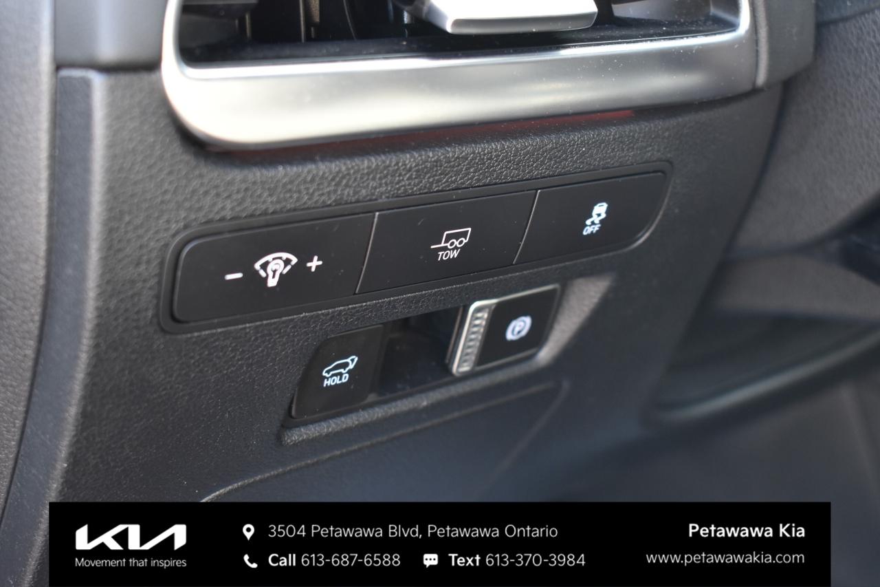 2025 Hyundai PALISADE Ultimate Calligraphy Night 4dr All-Wheel Drive Photo