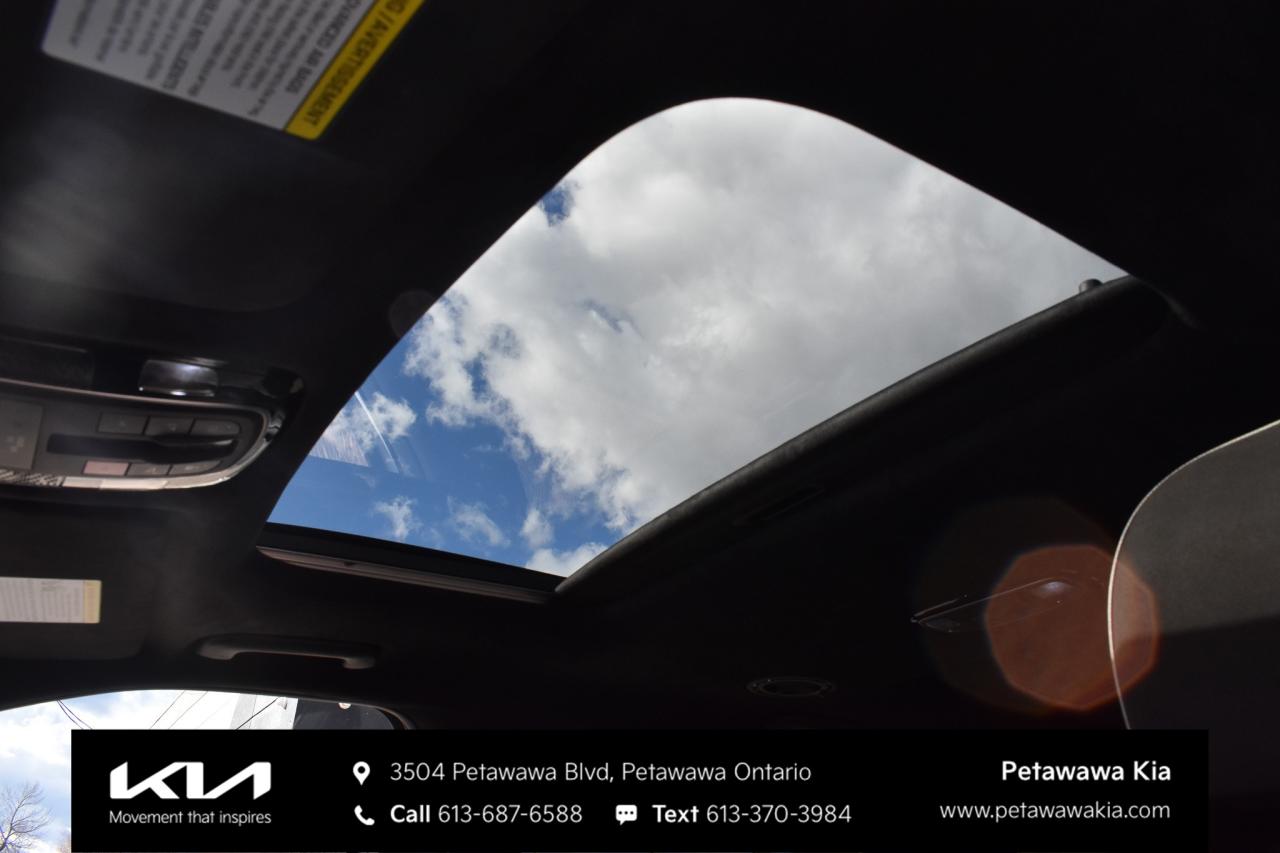 2025 Hyundai PALISADE Ultimate Calligraphy Night 4dr All-Wheel Drive Photo