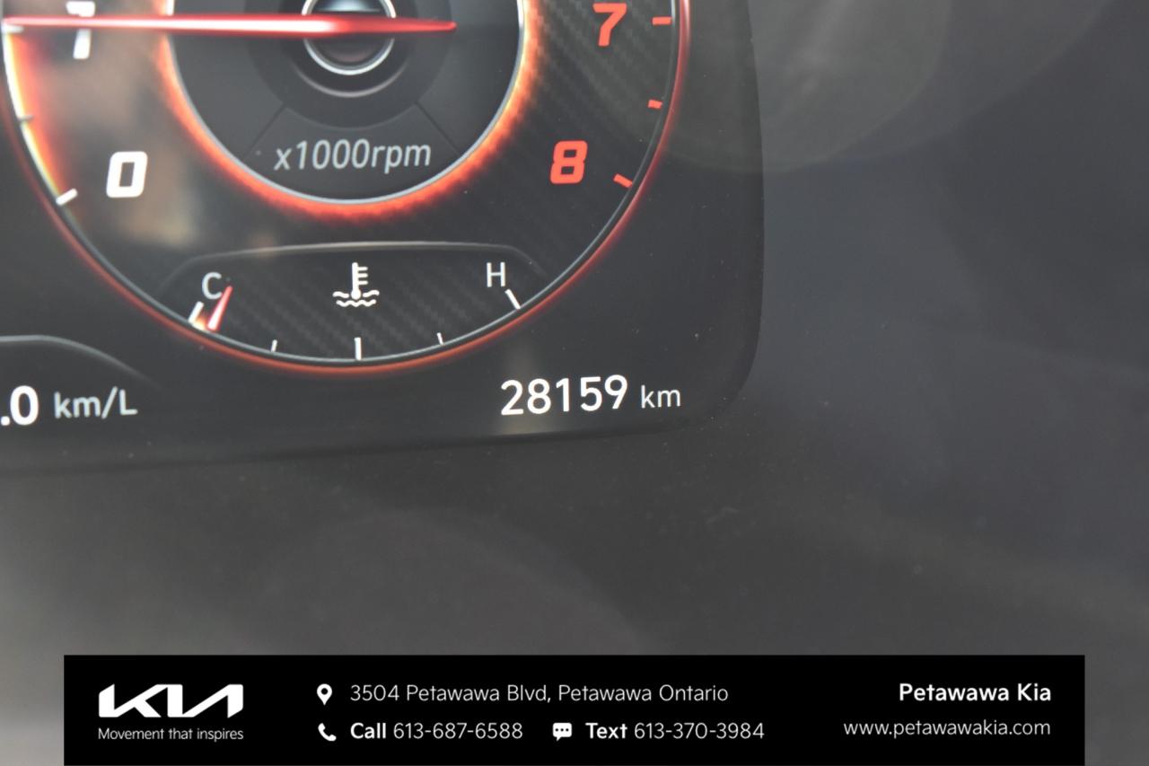 2025 Hyundai PALISADE Ultimate Calligraphy Night 4dr All-Wheel Drive Photo