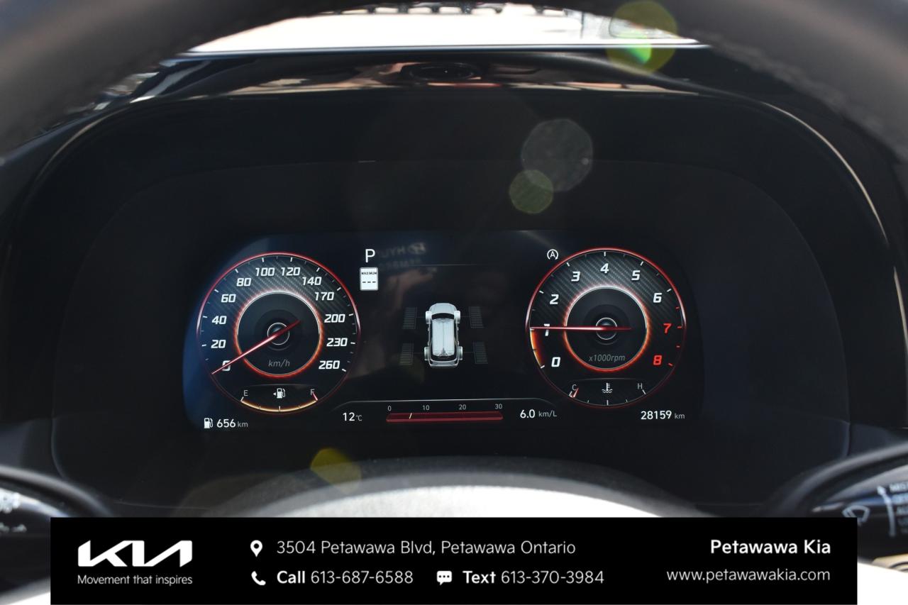 2025 Hyundai PALISADE Ultimate Calligraphy Night 4dr All-Wheel Drive Photo