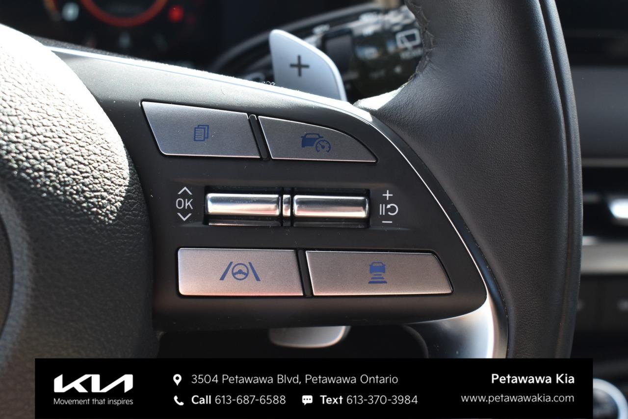 2025 Hyundai PALISADE Ultimate Calligraphy Night 4dr All-Wheel Drive Photo