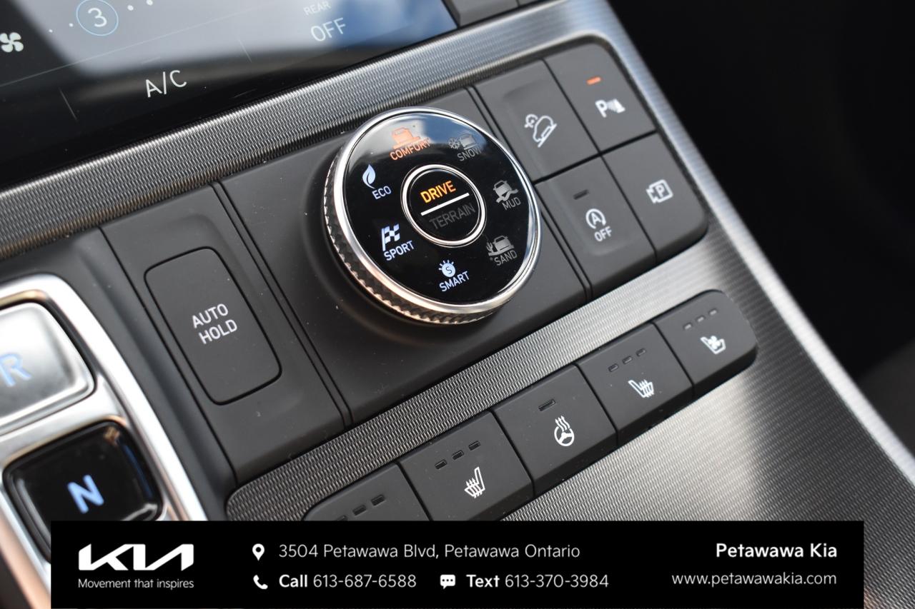 2025 Hyundai PALISADE Ultimate Calligraphy Night 4dr All-Wheel Drive Photo