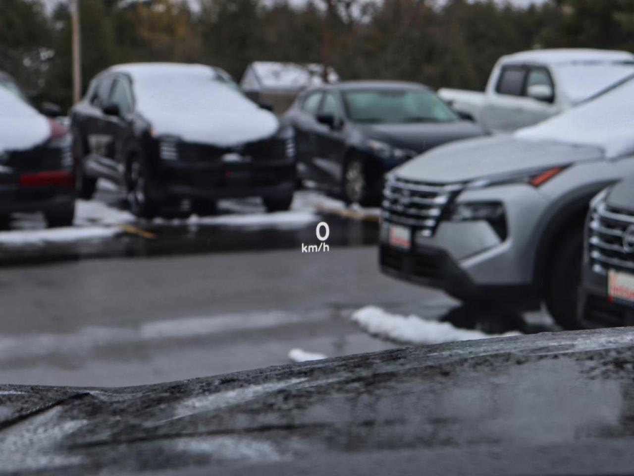 2025 Infiniti QX80 AUTOGRAPH  Massage Seats, NO LUXURY TAX Photo