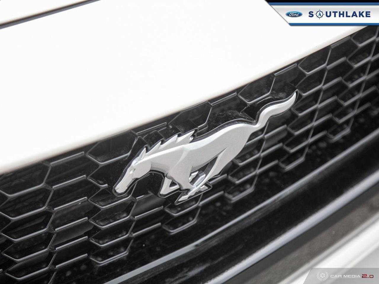 2025 Ford Mustang GT Premium 2dr Fastback Photo