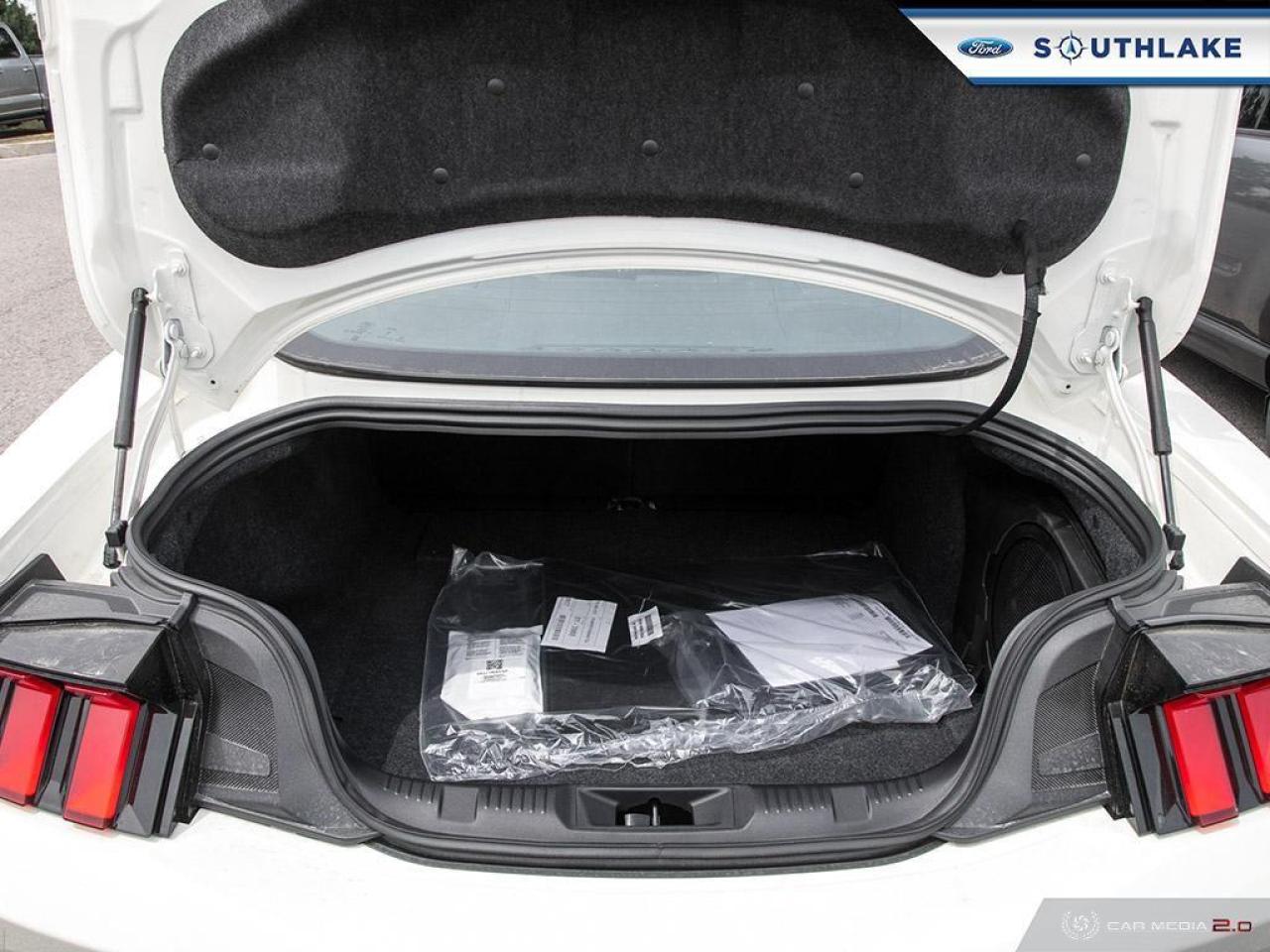 2025 Ford Mustang GT Premium 2dr Fastback Photo