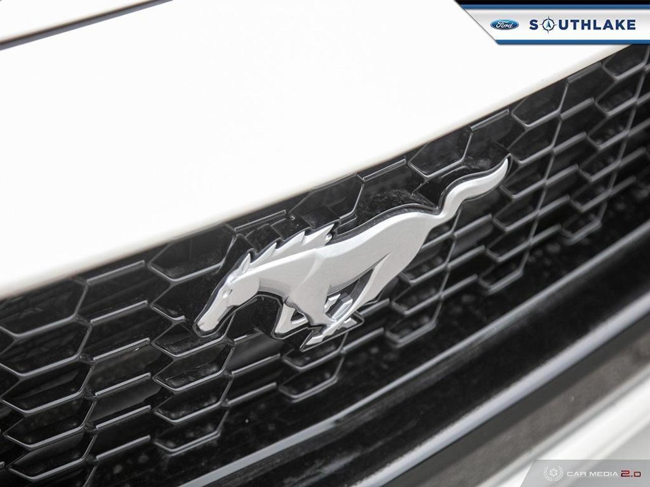 2025 Ford Mustang GT Premium 2dr Fastback Photo