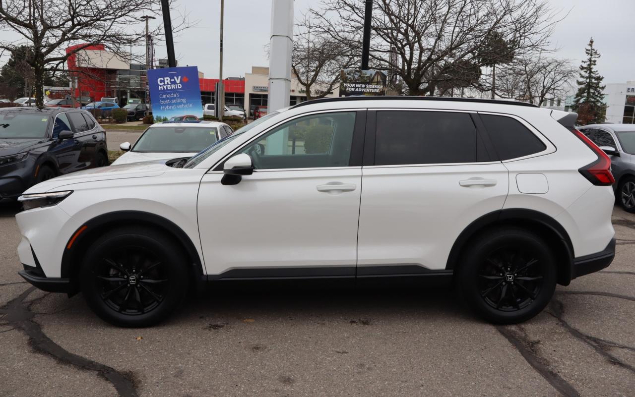 2024 Honda CR-V Sport 4dr All-Wheel Drive Photo