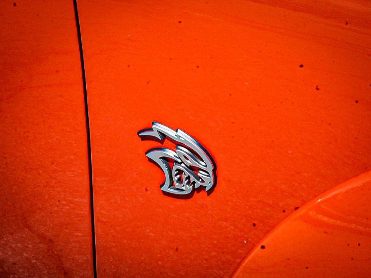 2023 Dodge Charger  Photo