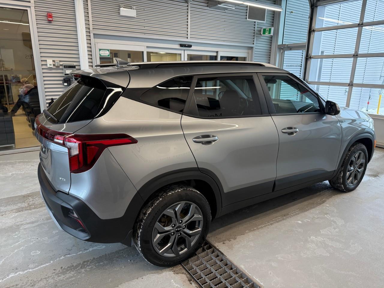 2024 Kia Seltos LX 4dr All-Wheel Drive Photo