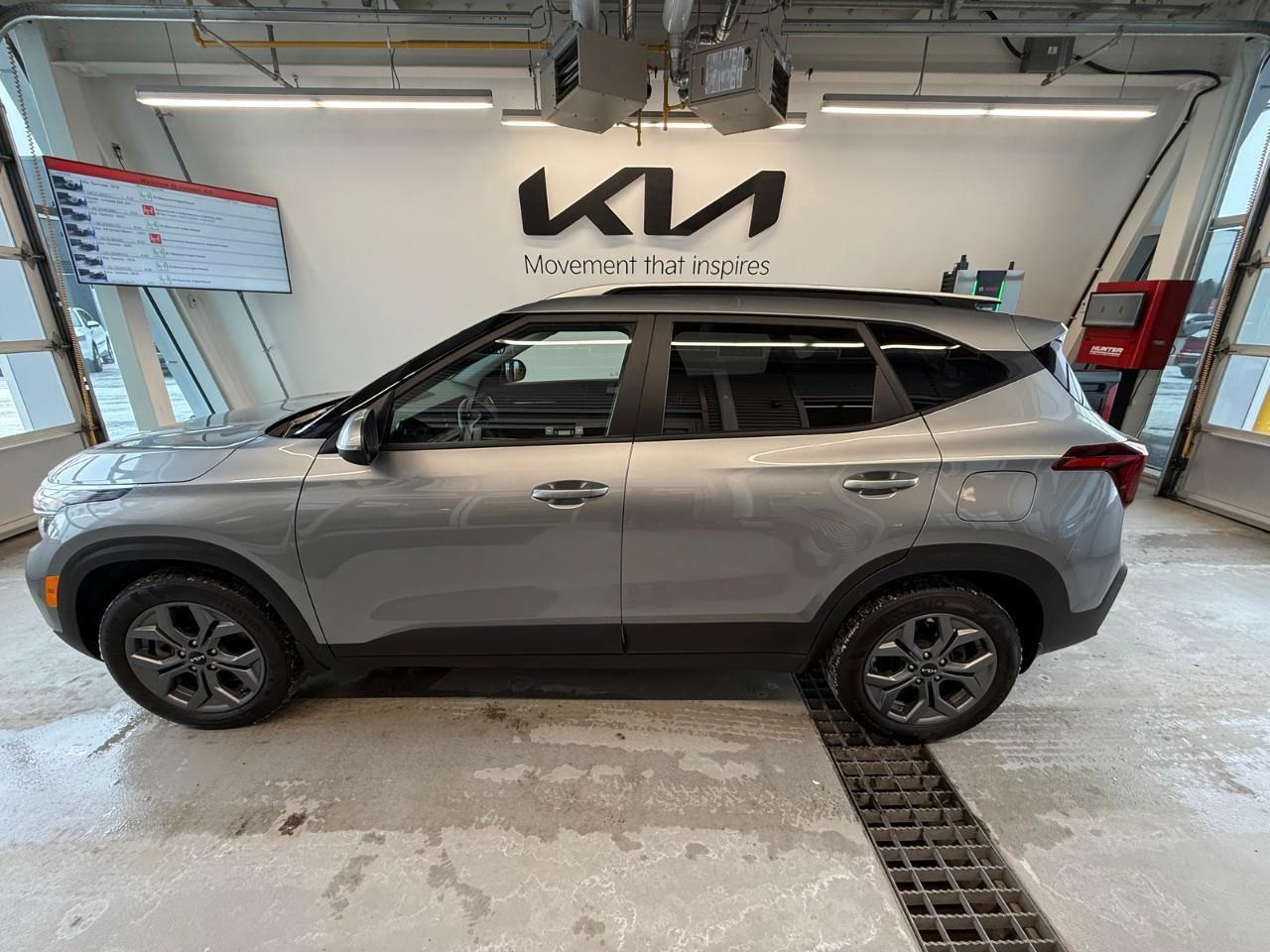 2024 Kia Seltos LX 4dr All-Wheel Drive Photo